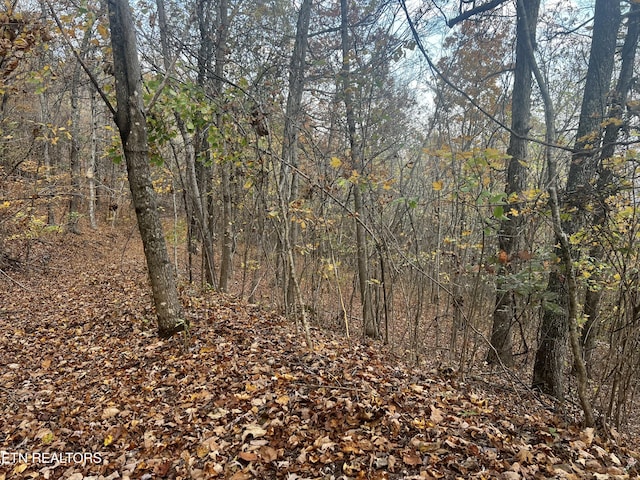 LOT675 Chimney Rock Rd, New Tazewell, TN 37825 - photo 31