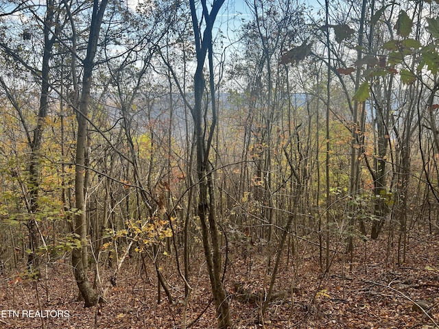 LOT675 Chimney Rock Rd, New Tazewell, TN 37825 - photo 37