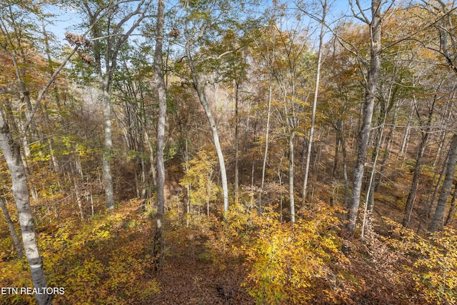 view of landscape