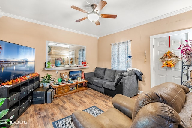 living room with ceiling fan, hardwood / wood-style flooring, and ornamental molding