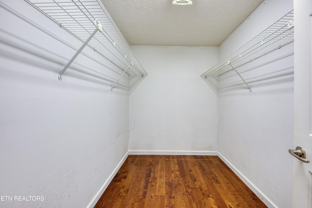 spacious closet featuring hardwood / wood-style flooring