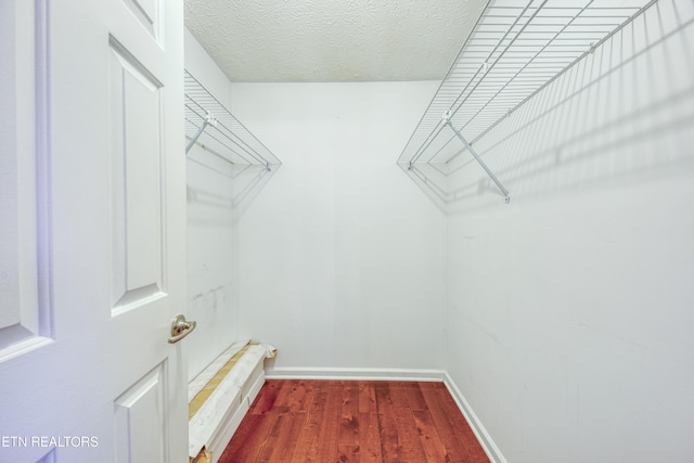 spacious closet featuring dark wood-type flooring