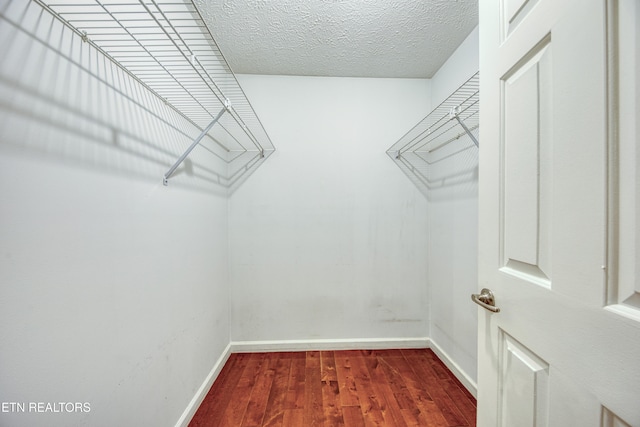 spacious closet featuring dark hardwood / wood-style floors