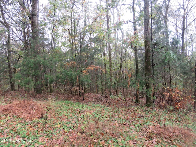 0 Hilltop Ln, Gainesboro TN, 38562 land for sale