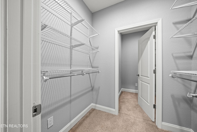 spacious closet with light carpet