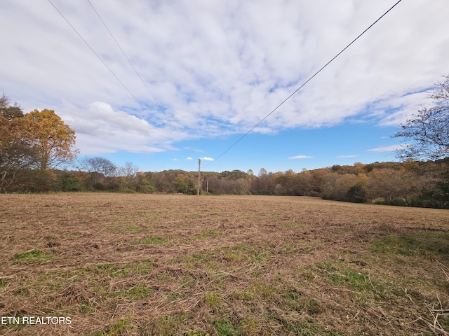 view of yard featuring a rural view