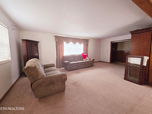 living room with light colored carpet and a textured ceiling