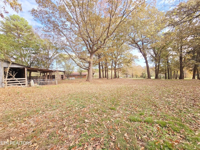 view of yard featuring an outdoor structure