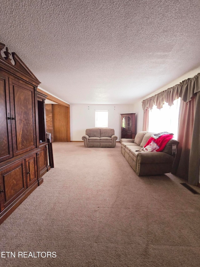 living room featuring carpet and a textured ceiling