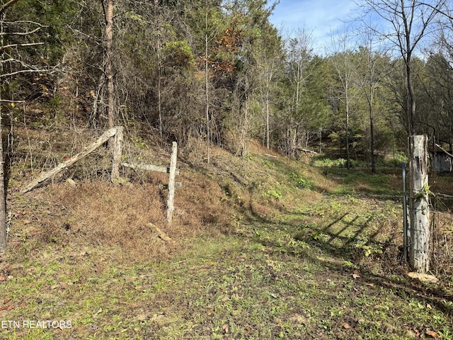 Sugar Loaf Rd, Sevierville, TN 37876 - photo 5