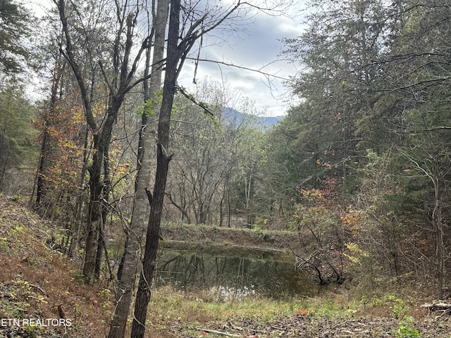 Sugar Loaf Rd, Sevierville, TN 37876 - photo 8
