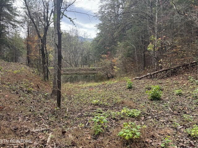 Sugar Loaf Rd, Sevierville, TN 37876 - photo 9