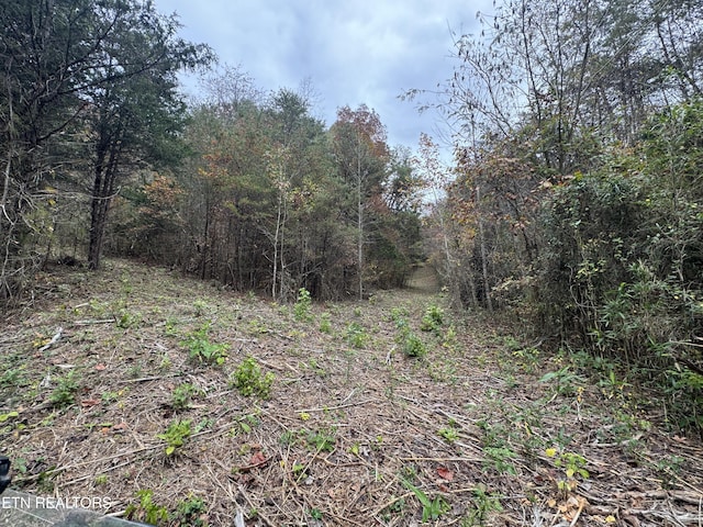 Sugar Loaf Rd, Sevierville, TN 37876 - photo 17