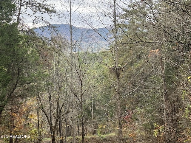 Sugar Loaf Rd, Sevierville, TN 37876 - photo 1