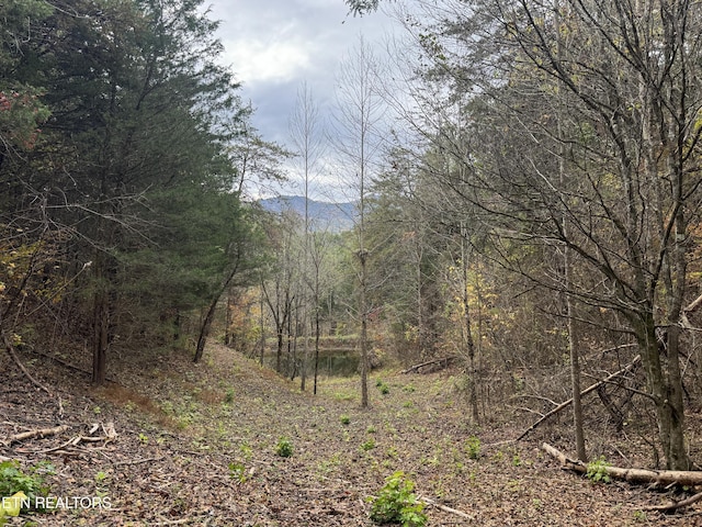 Sugar Loaf Rd, Sevierville, TN 37876 - photo 2