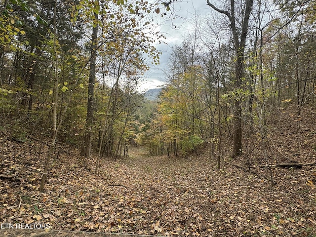 Sugar Loaf Rd, Sevierville, TN 37876 - photo 18