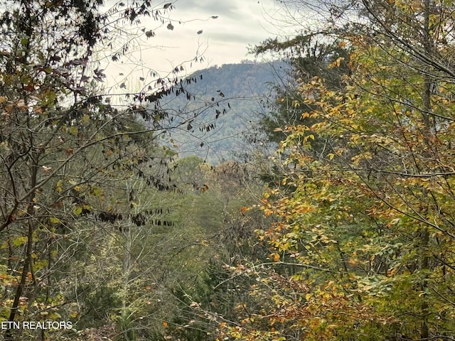Sugar Loaf Rd, Sevierville, TN 37876 - photo 4
