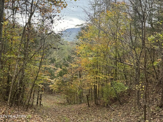 Sugar Loaf Rd, Sevierville, TN 37876 - photo 19
