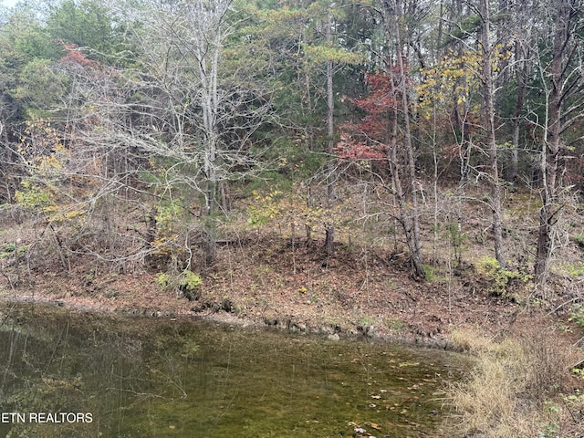 Sugar Loaf Rd, Sevierville, TN 37876 - photo 20