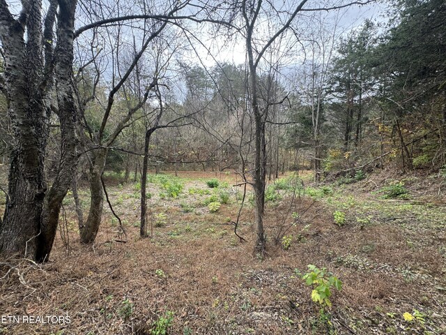Sugar Loaf Rd, Sevierville, TN 37876 - photo 21