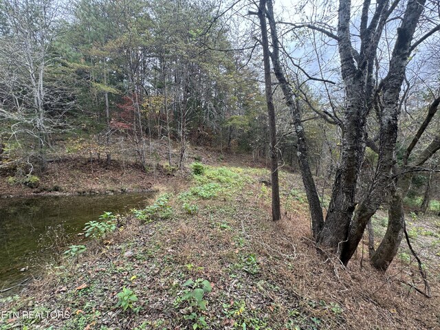 Sugar Loaf Rd, Sevierville, TN 37876 - photo 22