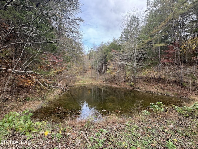 Sugar Loaf Rd, Sevierville, TN 37876 - photo 23