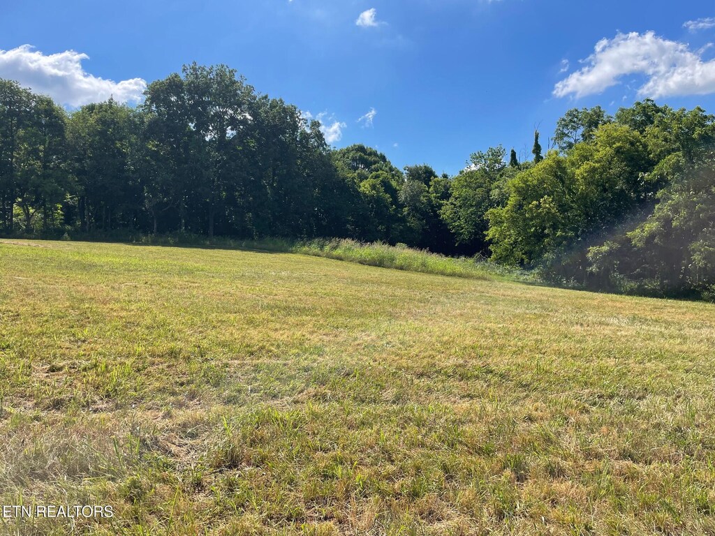 0 Oakland Rd, Sweetwater, TN 37874 - photo 3