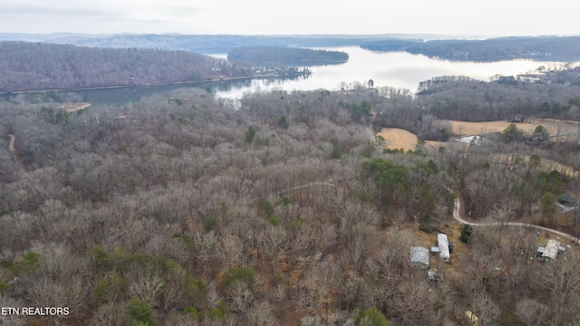 1245 Eagle Furnace, Rockwood TN, 37854 land for sale