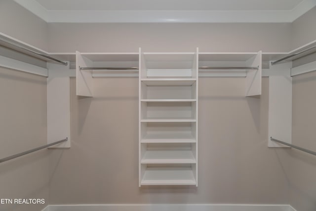 view of spacious closet