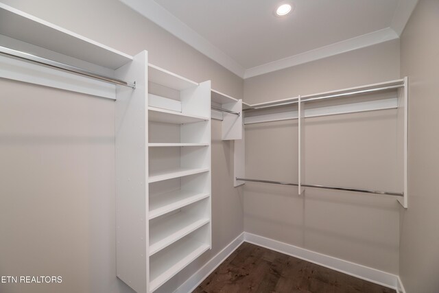 walk in closet with dark wood-type flooring