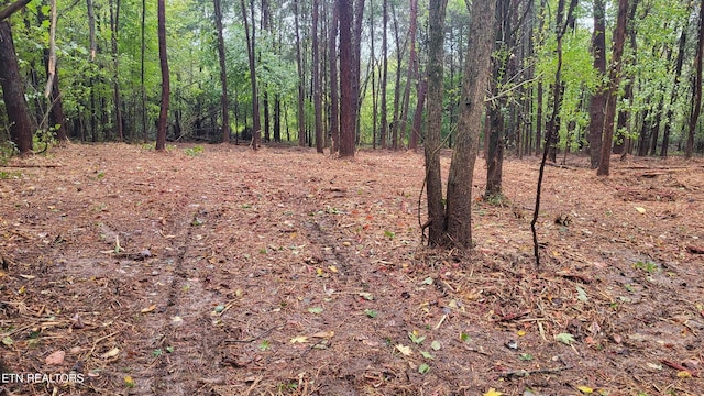 Montview Dr, Lenoir City, TN 37771 - photo 2