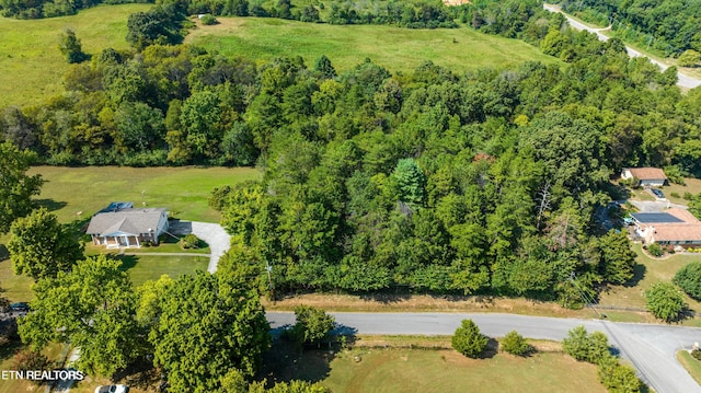 Montview Dr, Lenoir City, TN 37771 - photo 4