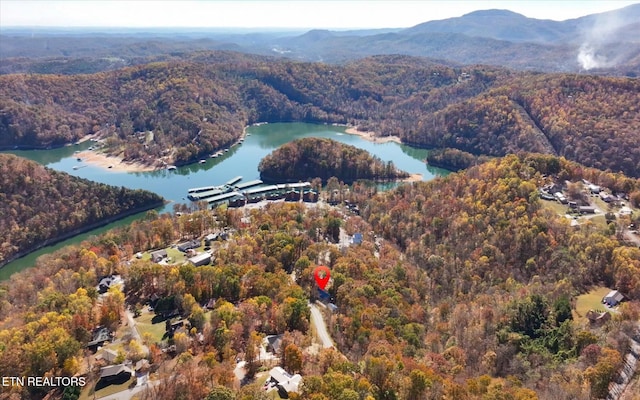 birds eye view of property featuring a water and mountain view