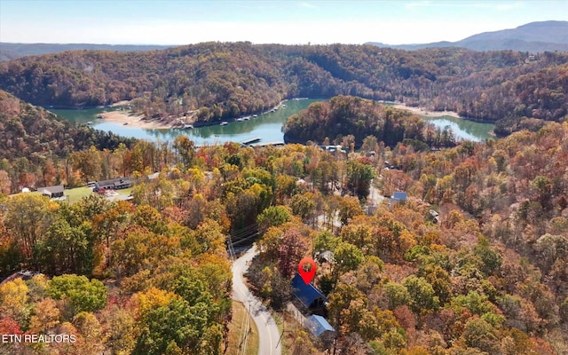 drone / aerial view with a water and mountain view