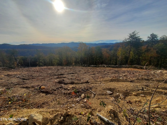 Poor Valley Rd, Rutledge TN, 37861 land for sale