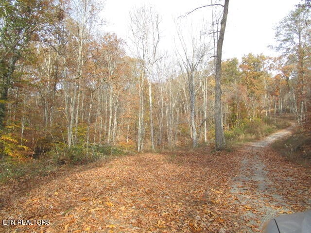 Poor Valley Rd, Rutledge, TN 37861 - photo 5