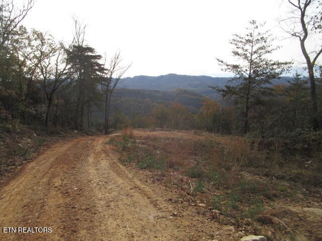 Poor Valley Rd, Rutledge, TN 37861 - photo 6