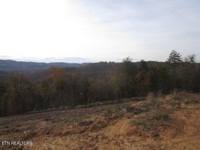 Poor Valley Rd, Rutledge, TN 37861 - photo 7
