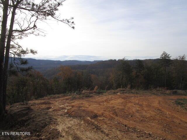 Poor Valley Rd, Rutledge, TN 37861 - photo 8
