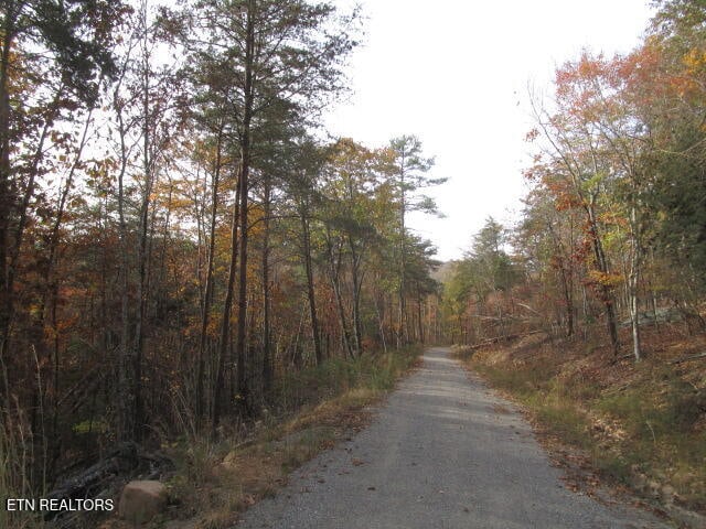 Poor Valley Rd, Rutledge, TN 37861 - photo 4
