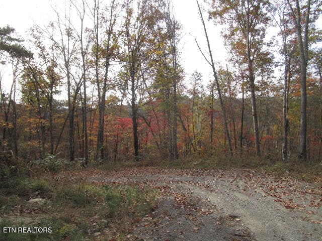 Poor Valley Rd, Rutledge, TN 37861 - photo 9