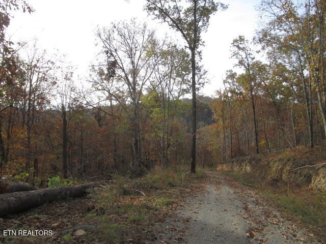 Poor Valley Rd, Rutledge, TN 37861 - photo 10