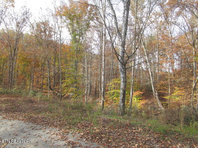 Poor Valley Rd, Rutledge, TN 37861 - photo 11
