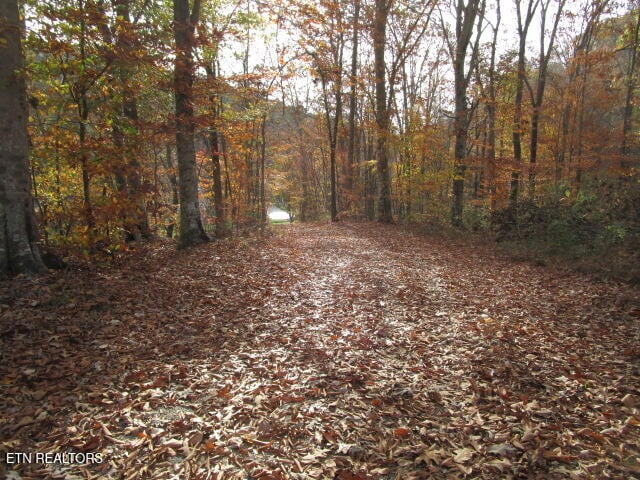 Poor Valley Rd, Rutledge, TN 37861 - photo 12