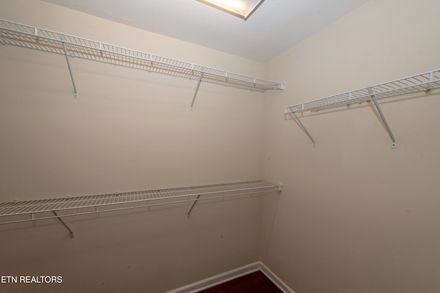 view of spacious closet