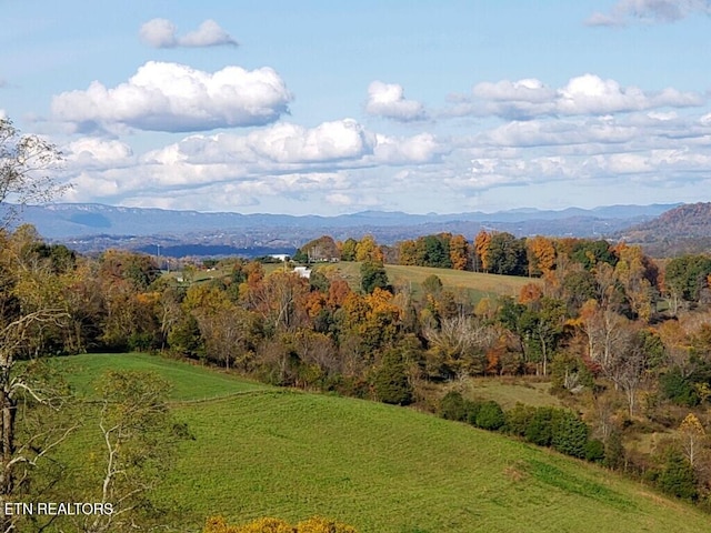 view of mountain feature