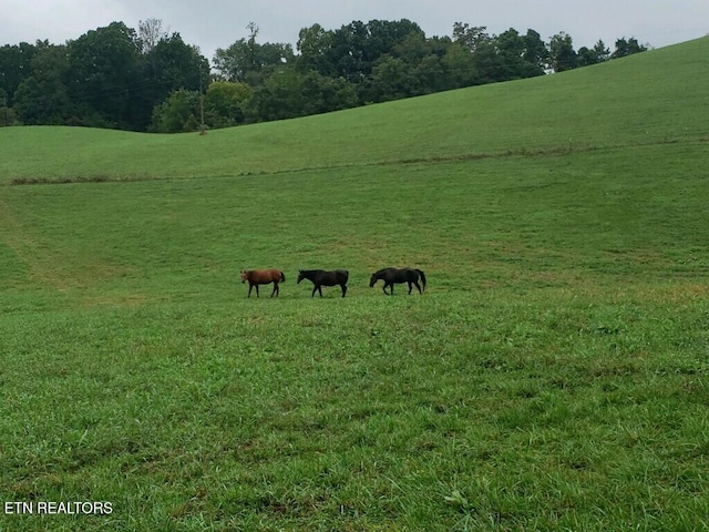 view of community with a rural view and a lawn