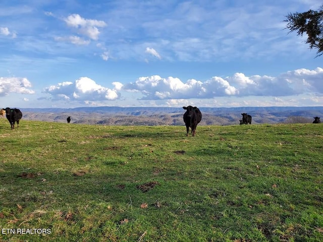 view of mountain feature featuring a rural view