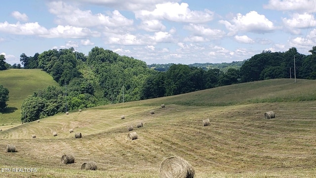 view of landscape with a rural view