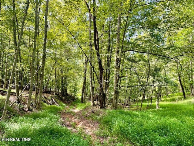 Dogwood Valley Rd, Kingston, TN 37763